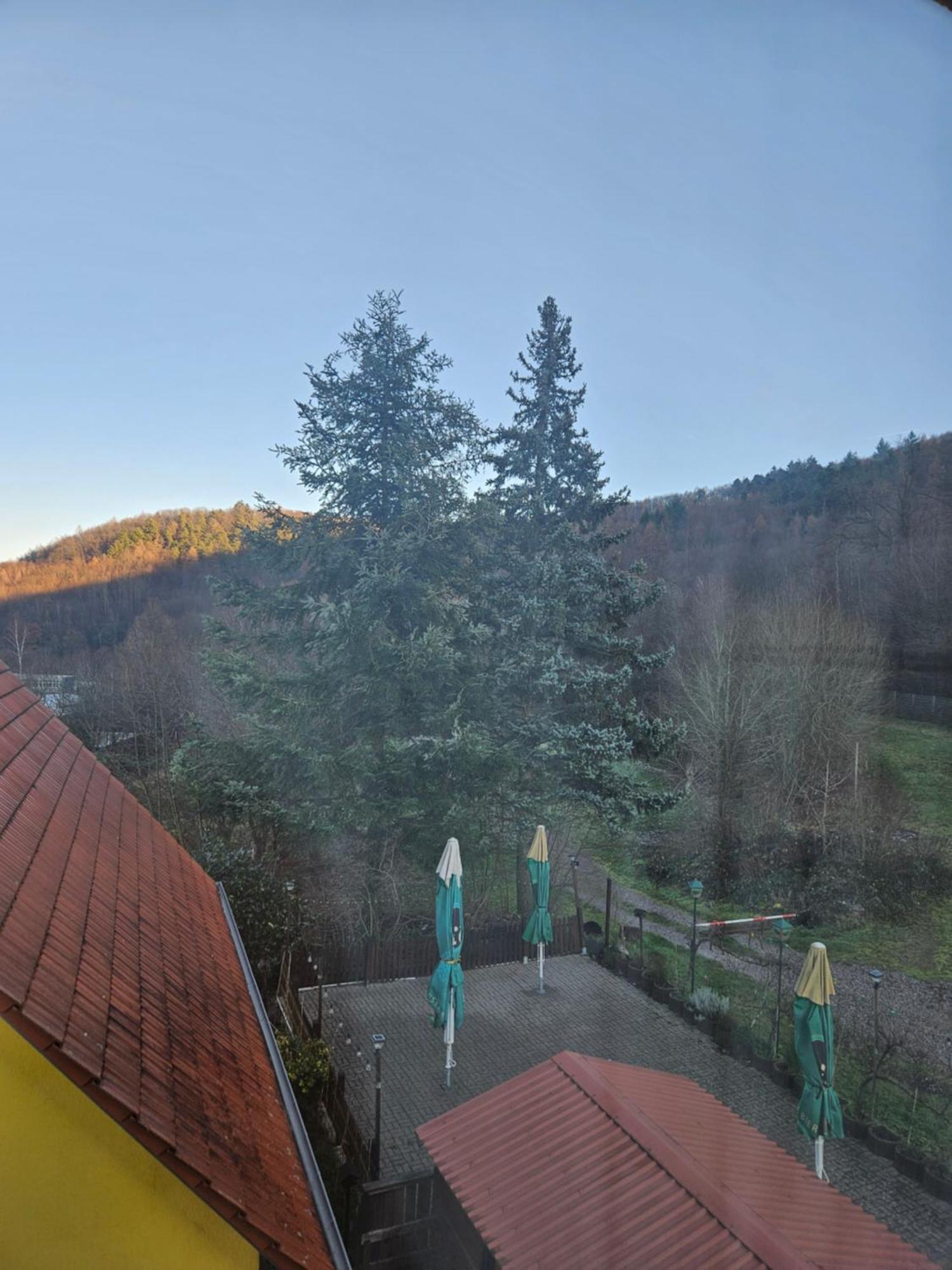 Naturfreundehaus Annweiler am Trifels Εξωτερικό φωτογραφία